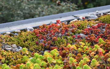 the cost of Hugus green roof installation